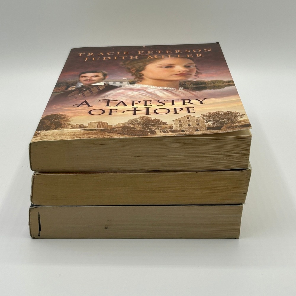 Lights of Lowell Series BUNDLE of 3 Peterson Miller Paperback Historical Fiction - Picture 9 of 13